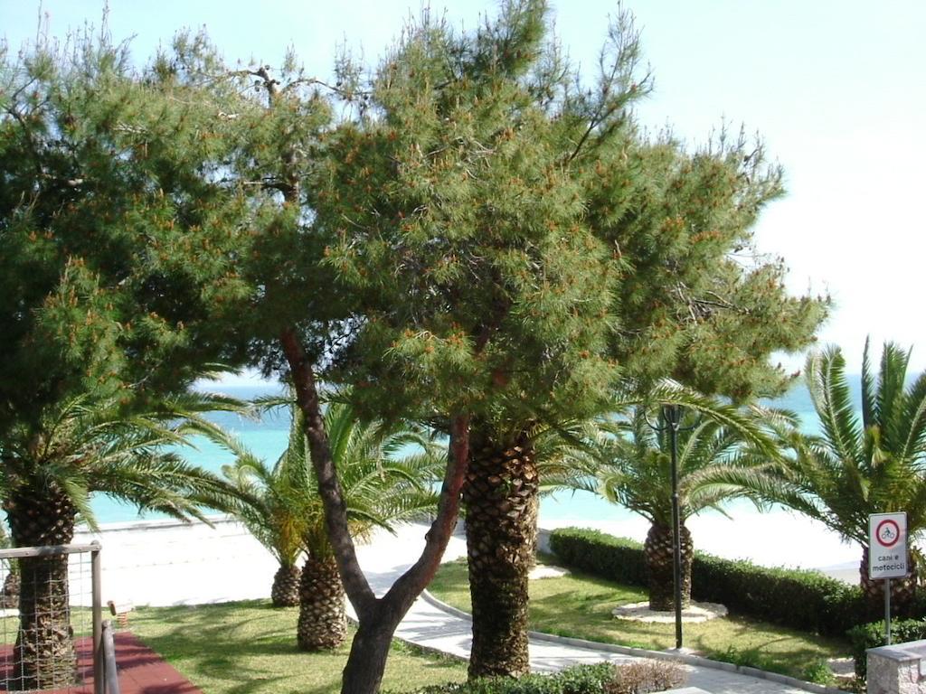 Taormina Beach House 마제오 객실 사진